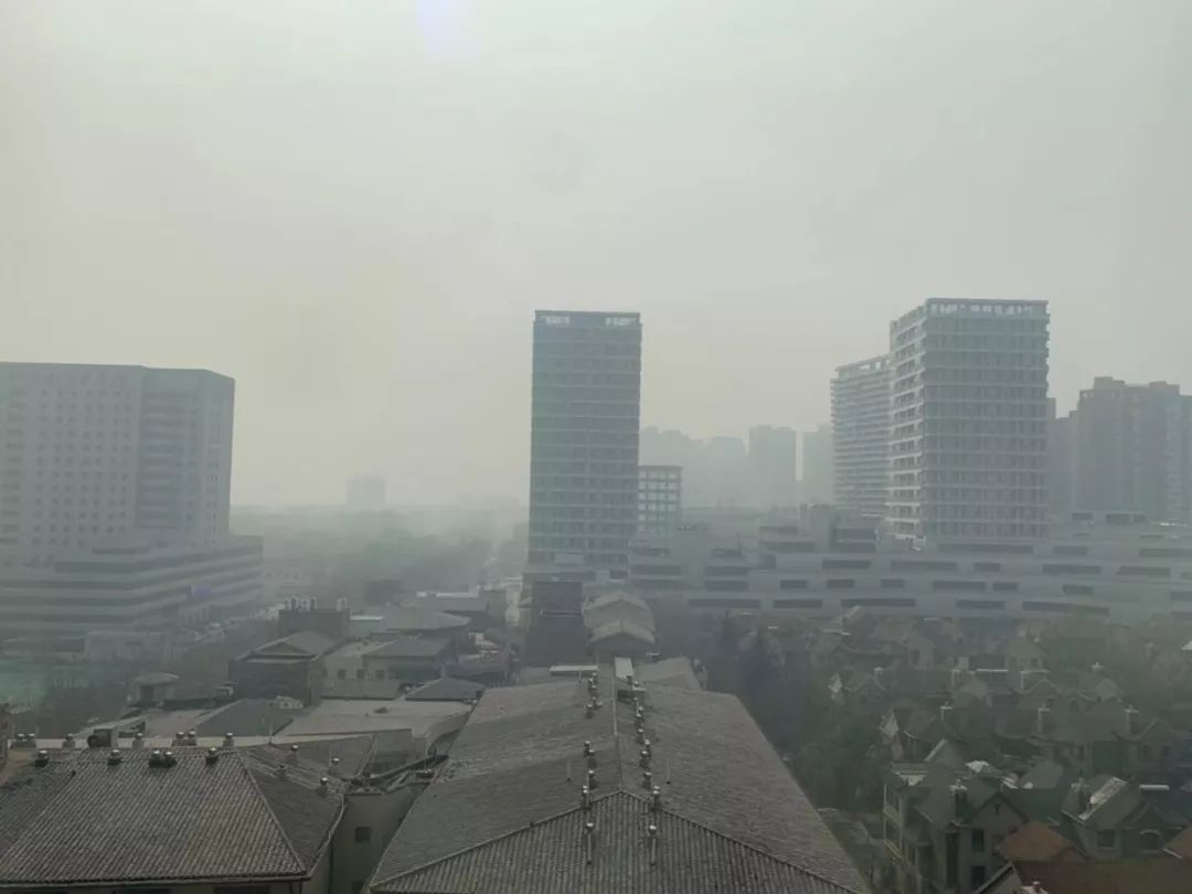 郑州最新气象，自然美景探索之旅