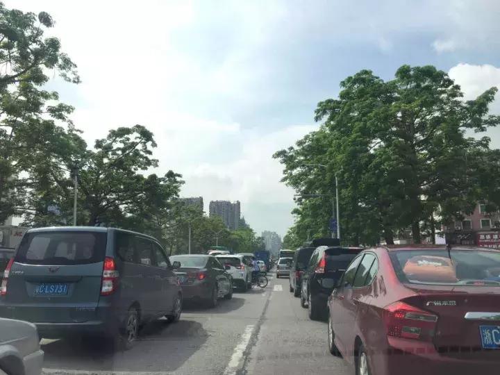 虎门大桥建造与修缮指南，最新制造与修复技术揭秘